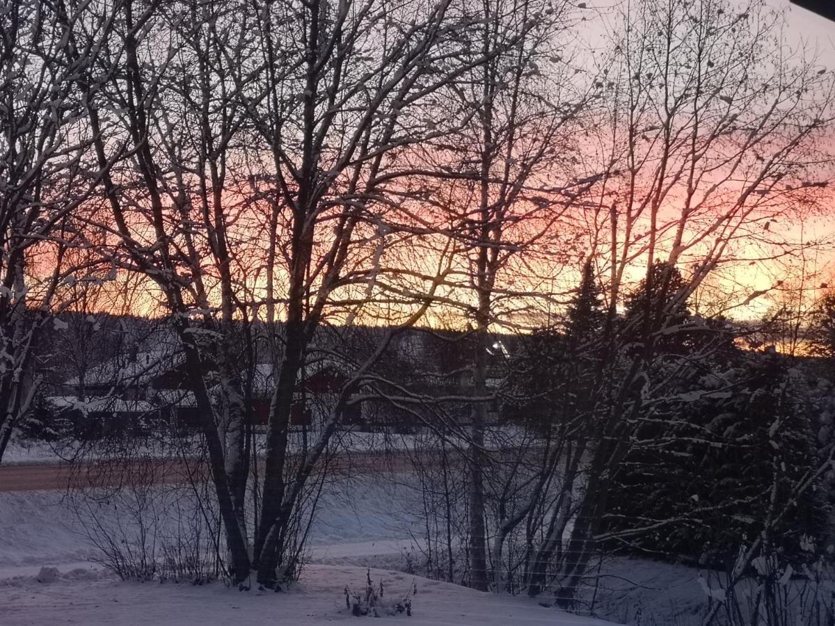 Cosy, Homely House With A Large Courtyard Saarenkylä 外观 照片