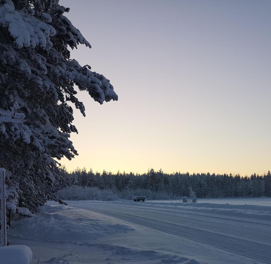 Cosy, Homely House With A Large Courtyard Saarenkylä 外观 照片